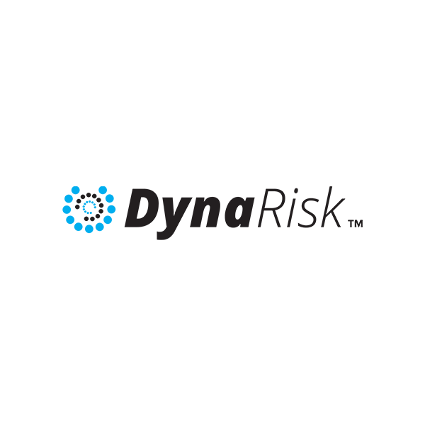 DynaRisk logo